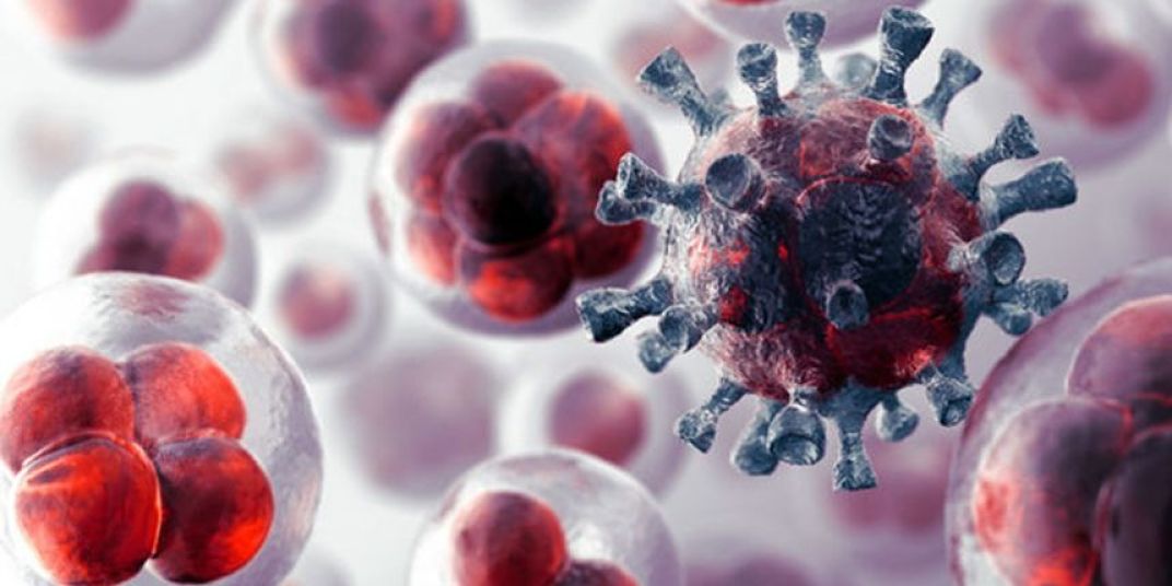 cancer_opt(1)