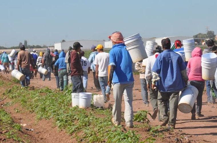 trabajadores_opt(1)