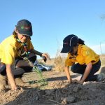 Aprende a germinar árbol nativo con taller “Una Semilla X Hermosillo”