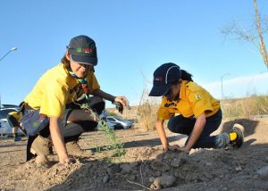 reforestacion Scouts de Mexico en la sauceda 8_opt