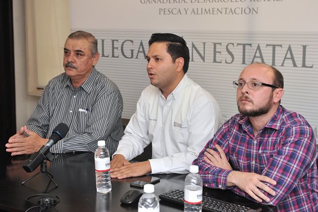 carenciassociales_opt(1)