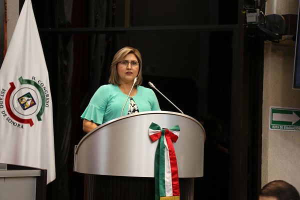 dip-rosy-mtnez_opt