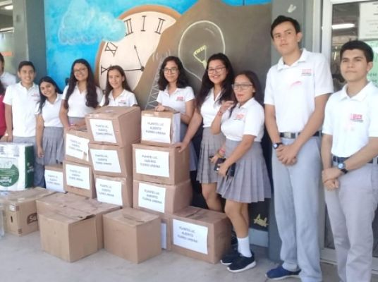 donaciones_opt(2)