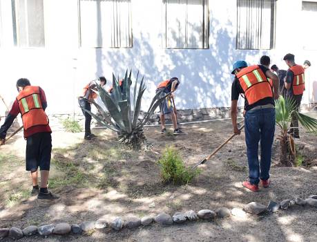 servicio_opt