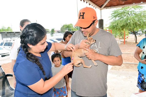 vacunacion_opt(1)