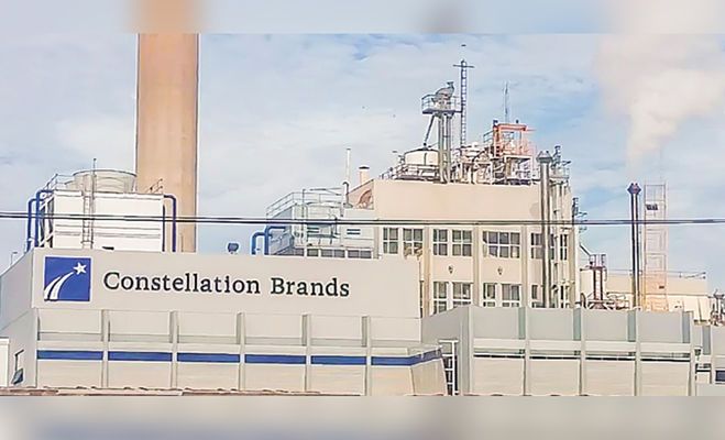 constellation_brands_opt