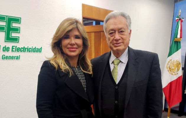 cfe-gobenadora_opt