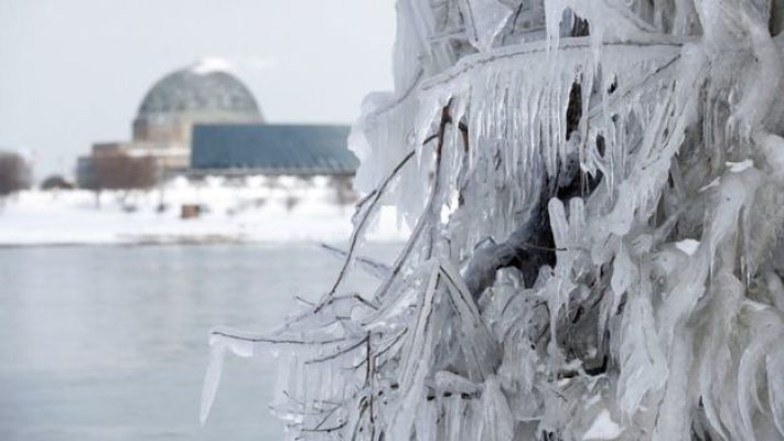 esculturasdehielo0_opt(1)