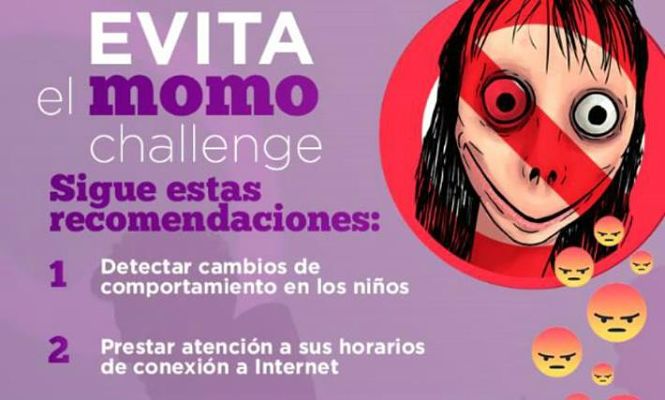elmomo_opt
