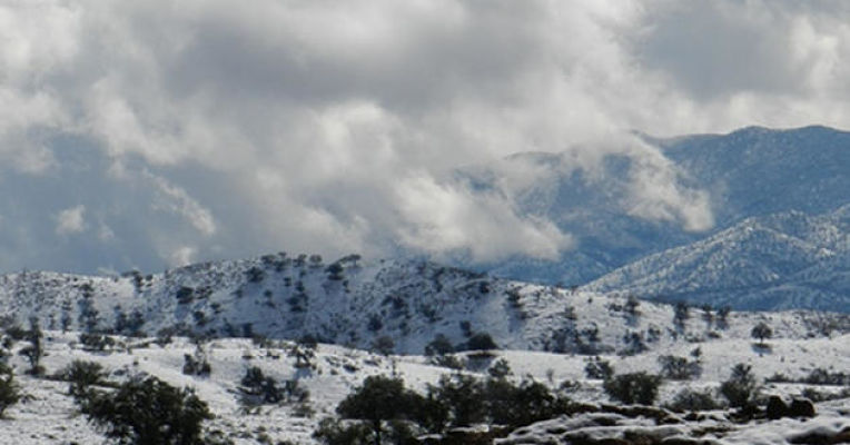 sonora-tormentainvernal_opt