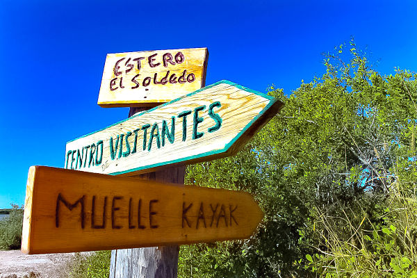 visitantes_opt