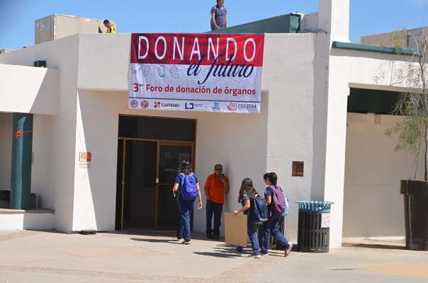 donaciondeorganos2_opt