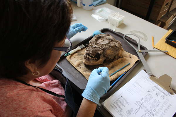 TRabajodecampo_AntropologíaFísica_opt(1)