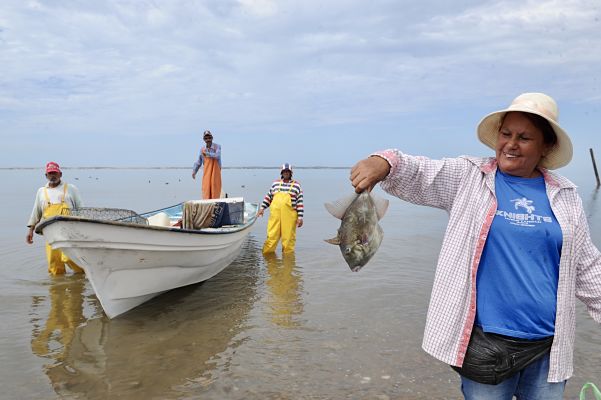 pesca_opt(1)