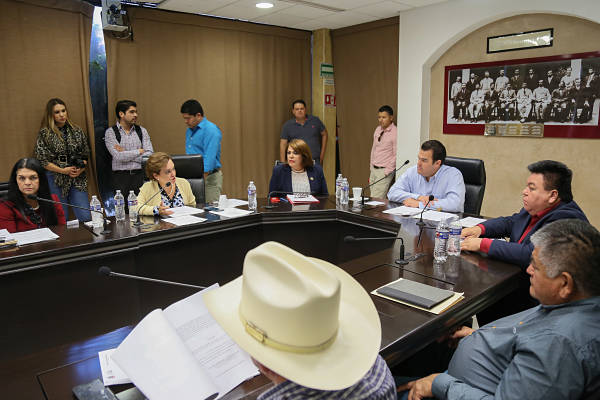 congreso edo_opt