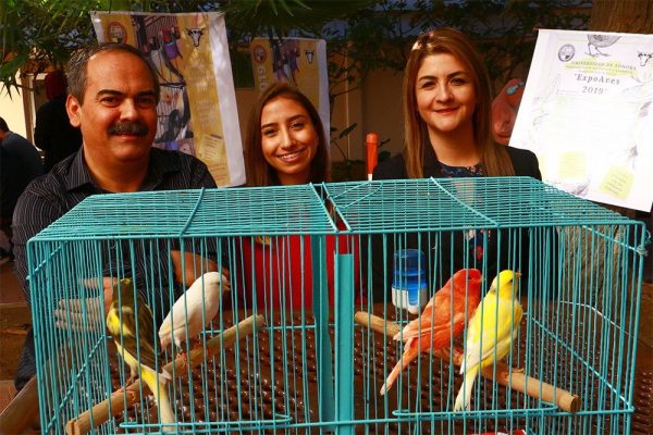 expo aves