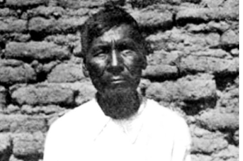 opata2