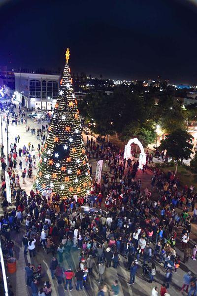 arbol navideño_opt