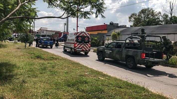 seguridad_opt