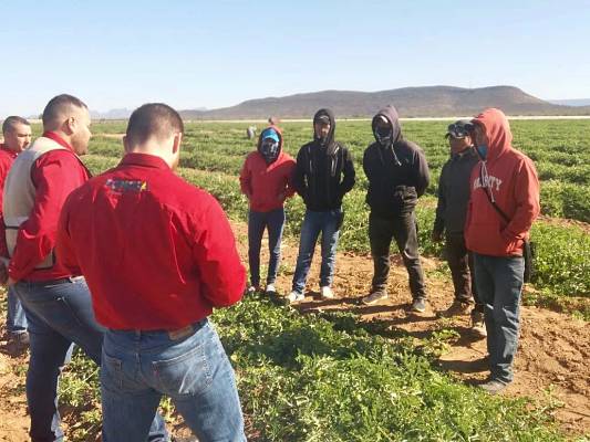 inspecciones a campos agrícolas022065b_opt