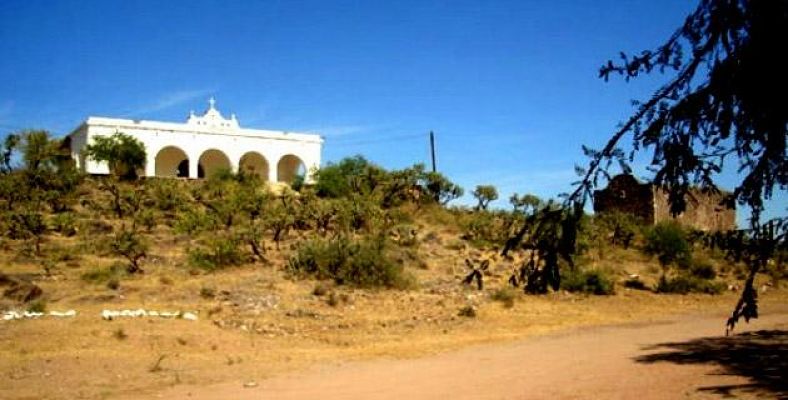 torim_sonora_opt