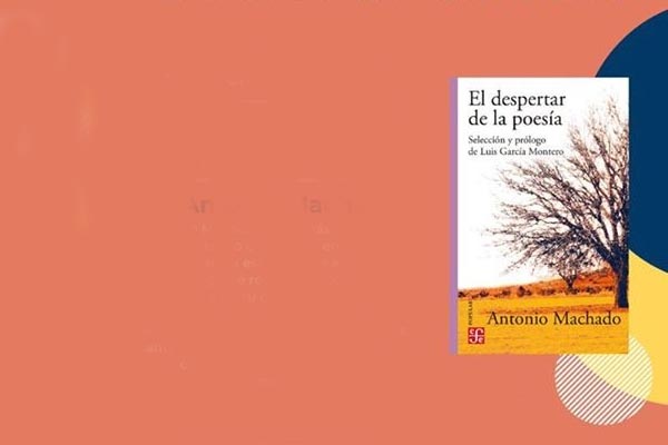despertar
