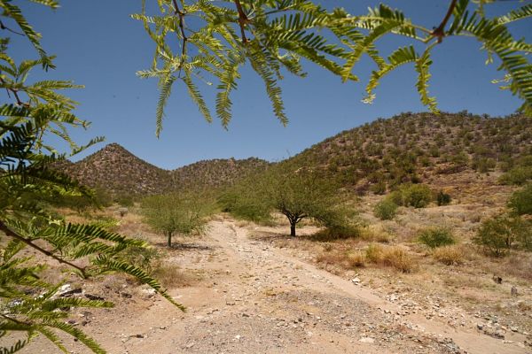 sierra de osnora_opt