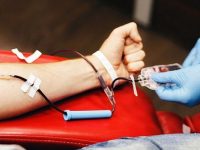 Gobierno de Sonora promueve la donación voluntaria de sangre como un acto de esperanza y solidaridad