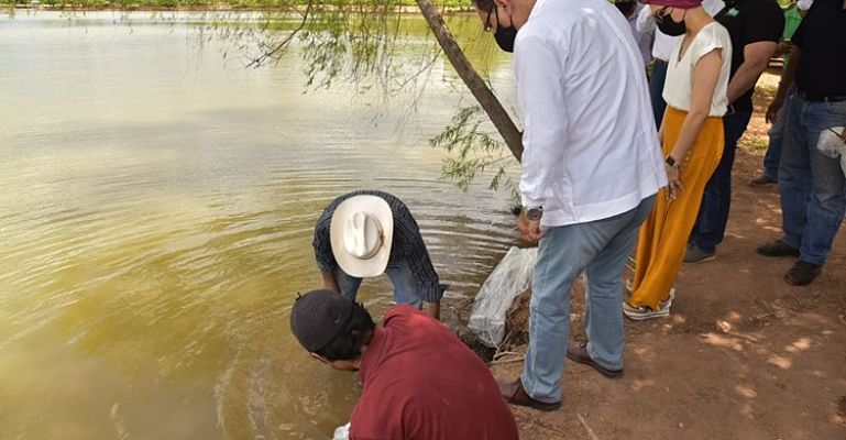 obregón_repoblación_opt