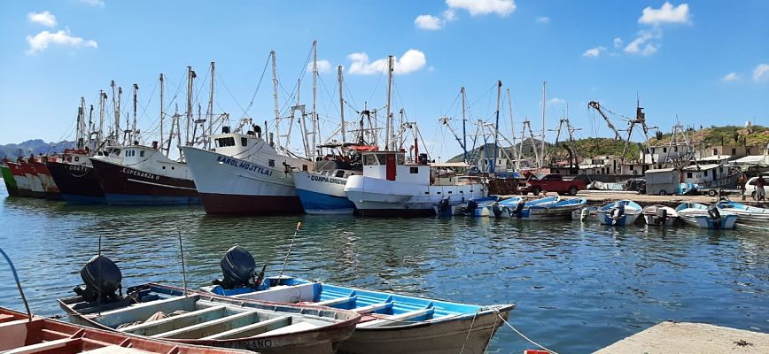 pescadores_opt