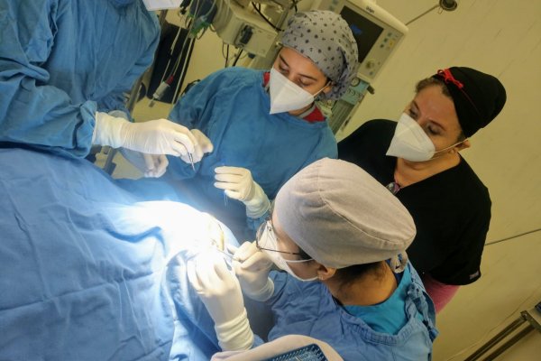 donacion organos