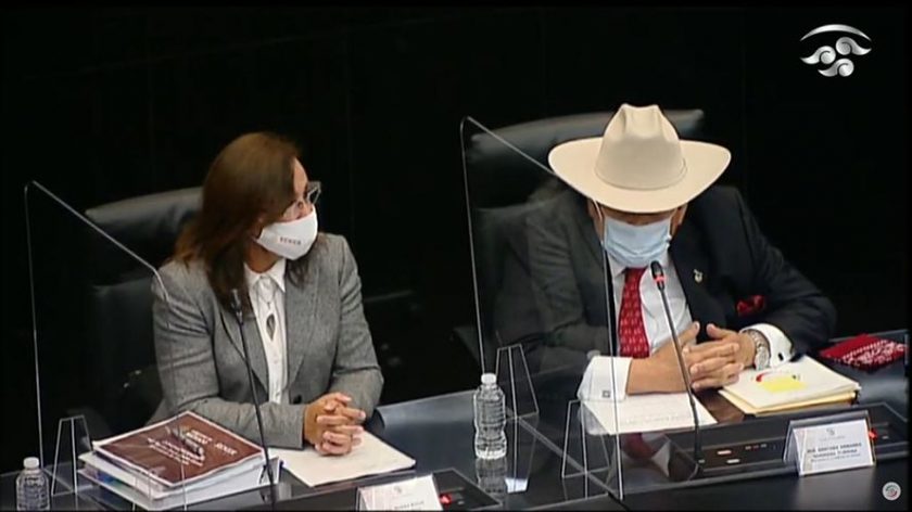 senado de la Republica_opt