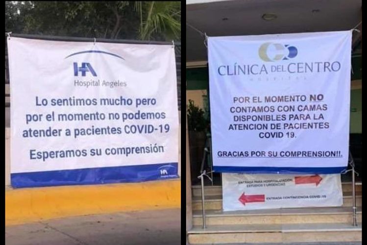 chihuahua_opt(1)