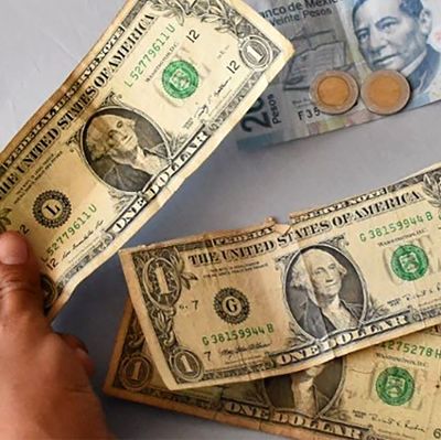 dolares_opt