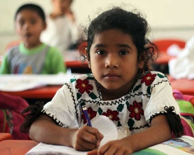escuelas-indigenas_opt