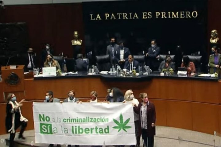 senado-aprueba uso de mariguana_opt