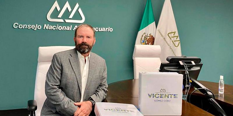 Vicente-Gomez-Cobo_opt