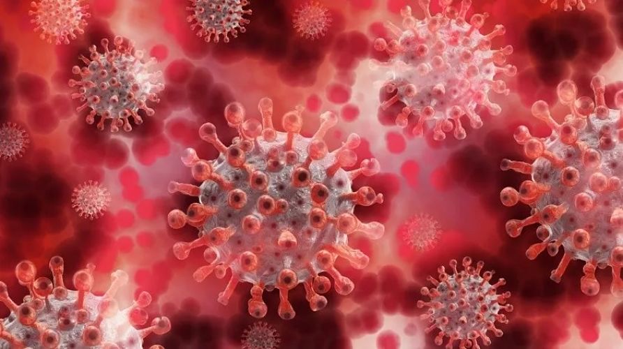 coronavirus_opt(2)