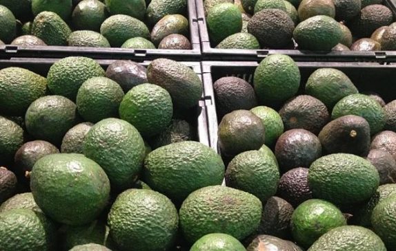 Aguacate_opt