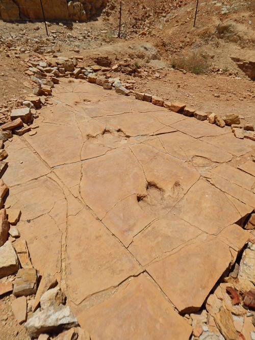 Huellas de dinosaurio Esqueda_Sonora_opt(1)