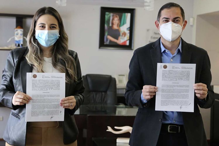 delitos electorales_opt