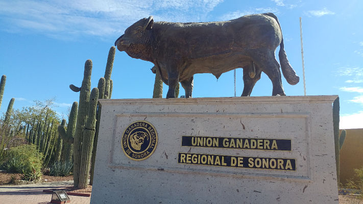 ganaderos de sonora_opt
