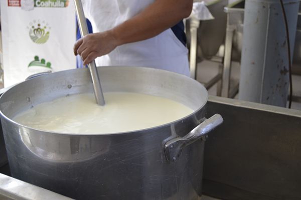 leche duranguense_opt