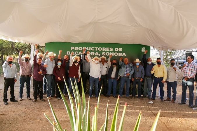 productores de bacanora-alfonso durazo_opt