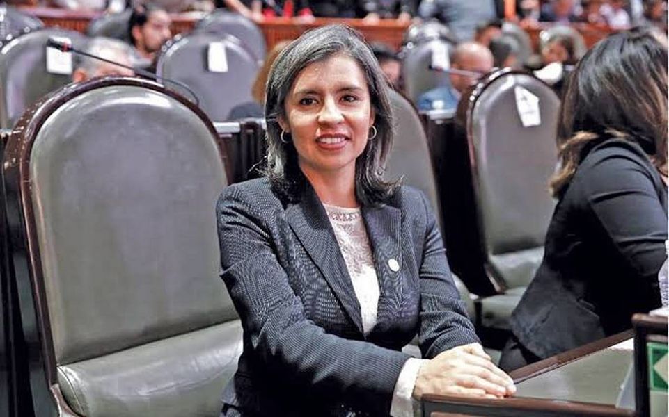 wendy-briceno-camara-diputados_opt