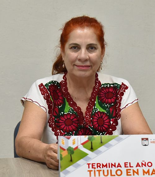 inmobiliaria hillo_opt