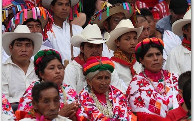 sat para indigenas_opt