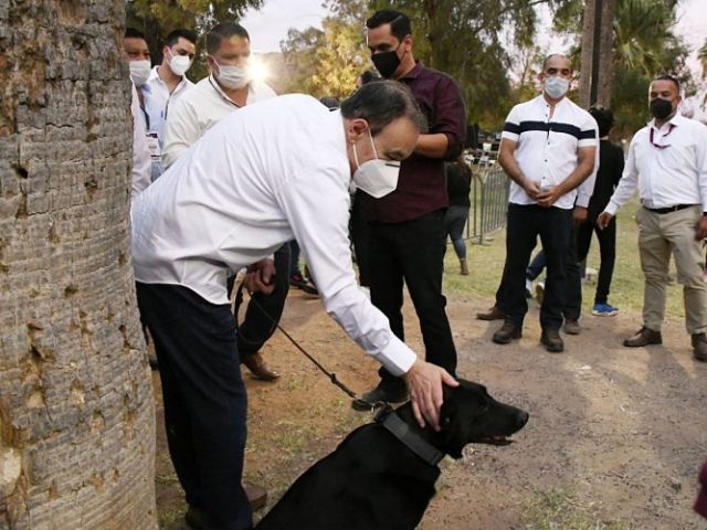 veterinarias publicas en sonora_opt