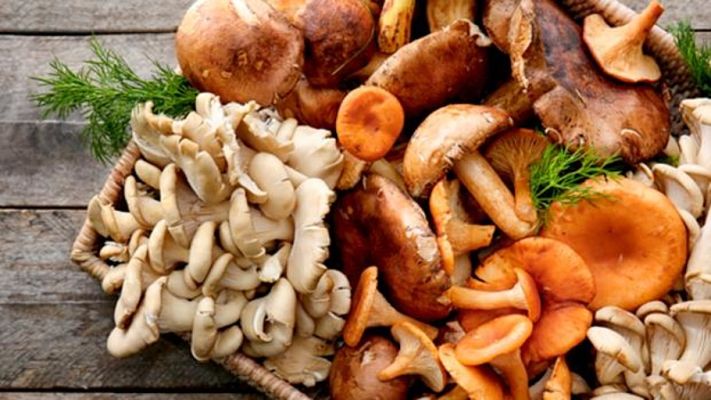 hongos o champiñones cura prostata_opt