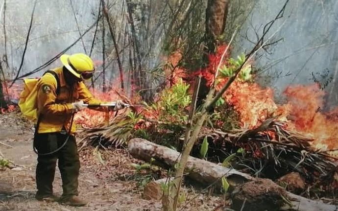 incendios en Chiapas_opt
